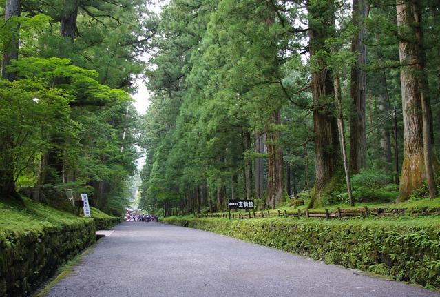 Cedar Avenue of Nikkō